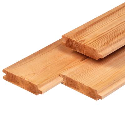 Havehegn Red Class Wood