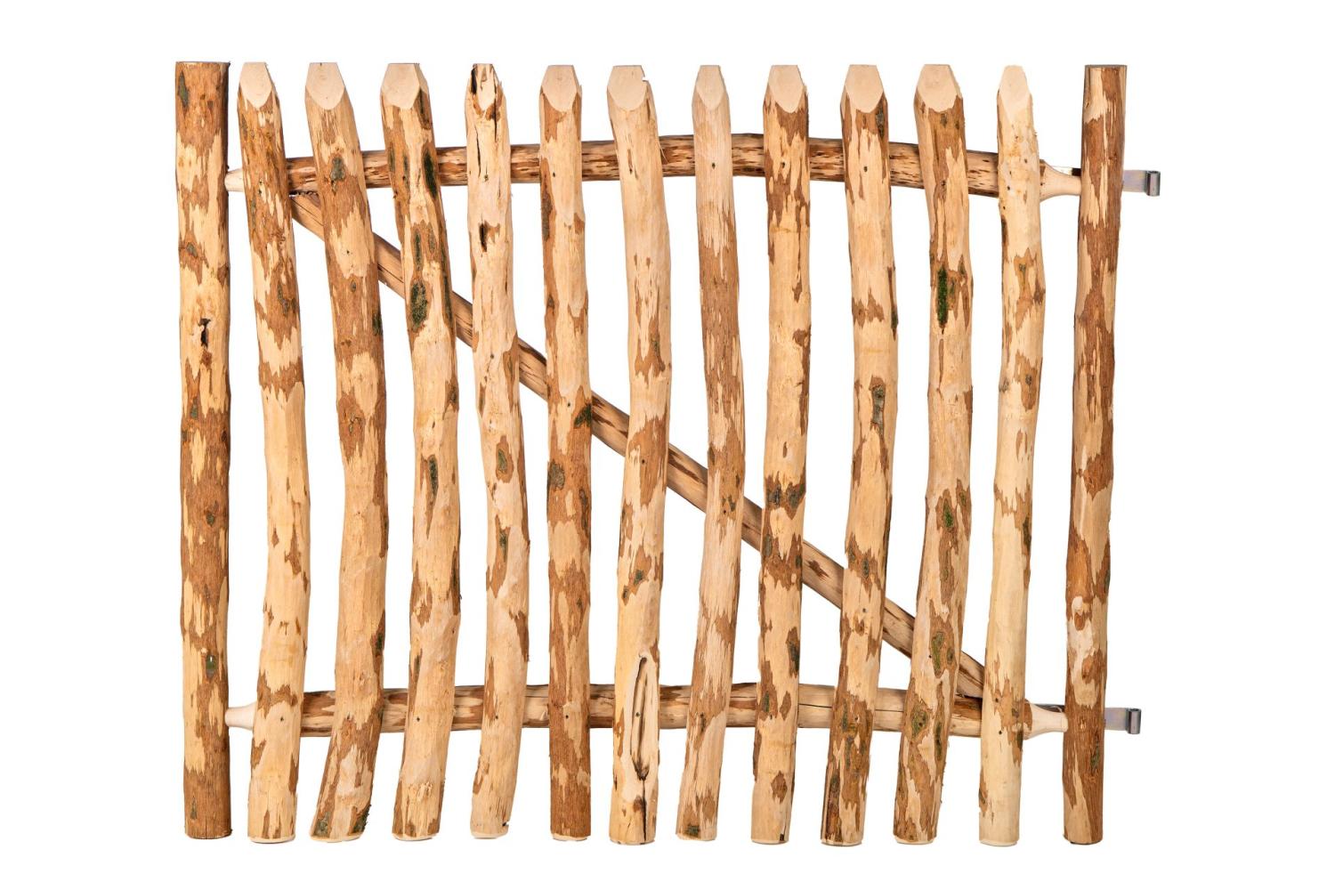 P177462 Hasselnødlåge PETER-HOLMBERG 