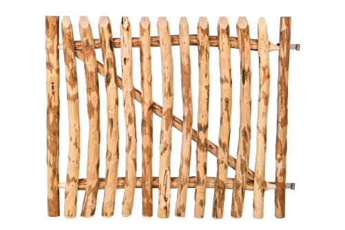 P177462 Hasselnødlåge PETER-HOLMBERG 