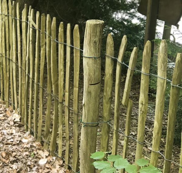 Kastanjestolpe Ø 7,0-9,0 cm, spids, skrællet I Flere Varianter 