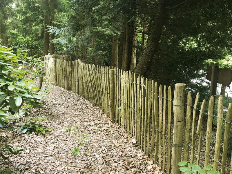 P0211378 Kastanja stolper PETER-HOLMBERG 