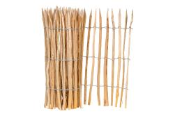 P077451 Hasselhegn rulle PETER-HOLMBERG