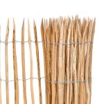 P077451 Hasselhegn rulle PETER-HOLMBERG