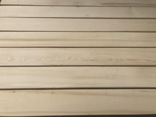 Cedertræ Yellow Cedar PETER-HOLMBERG