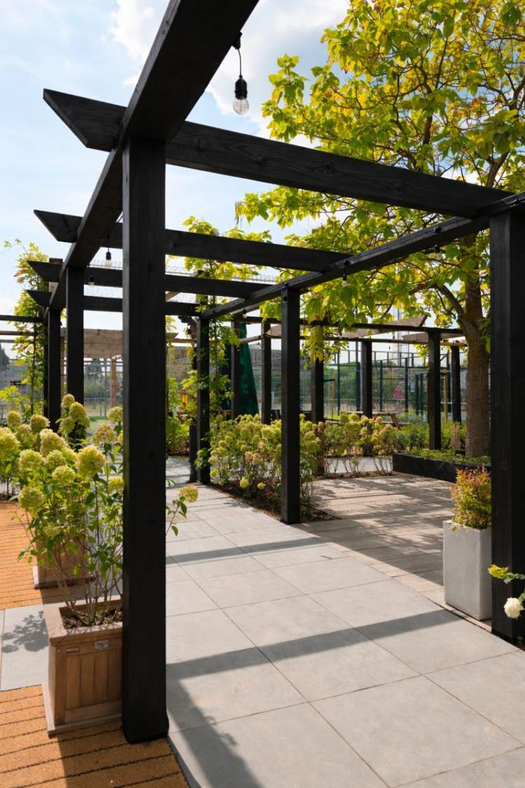 Pergola  Douglas stolpe sort  PEFC - PETER-HOLMBERG